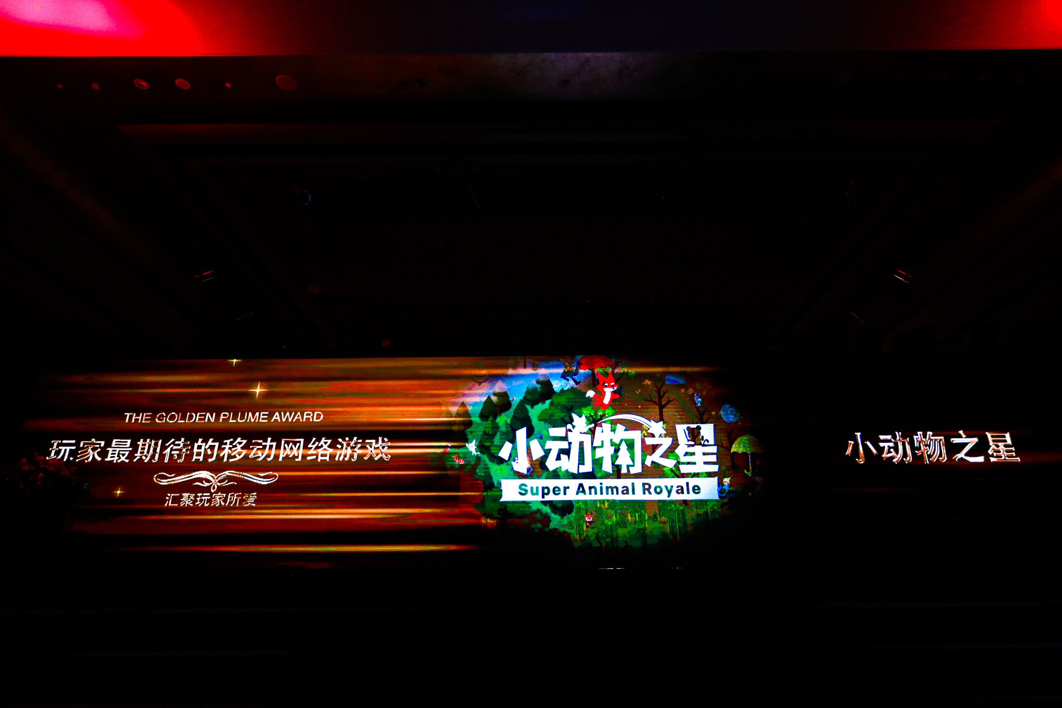 金翎獎 小動物_meitu_1